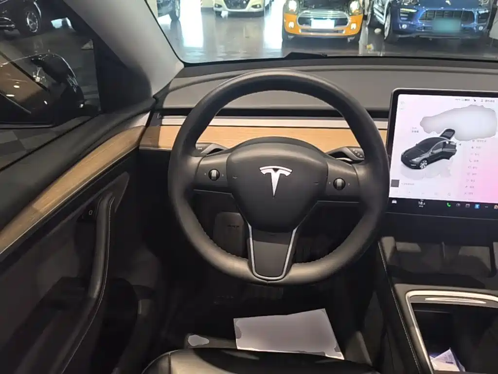 Tesla Model Y — фото 11