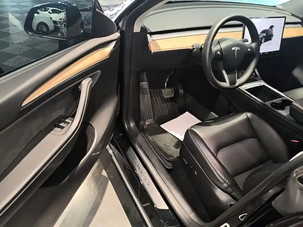 Tesla Model Y — фото 16