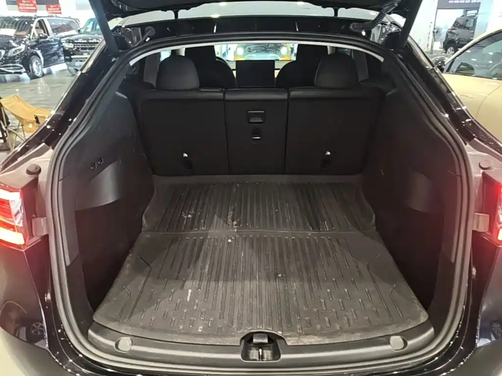 Tesla Model Y — фото 19