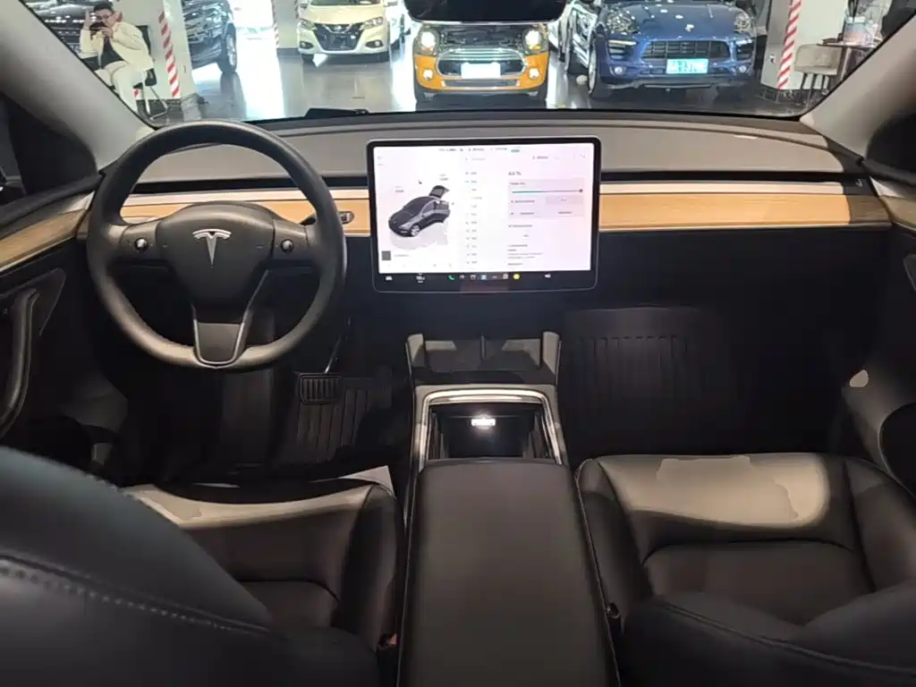 Tesla Model Y — фото 10