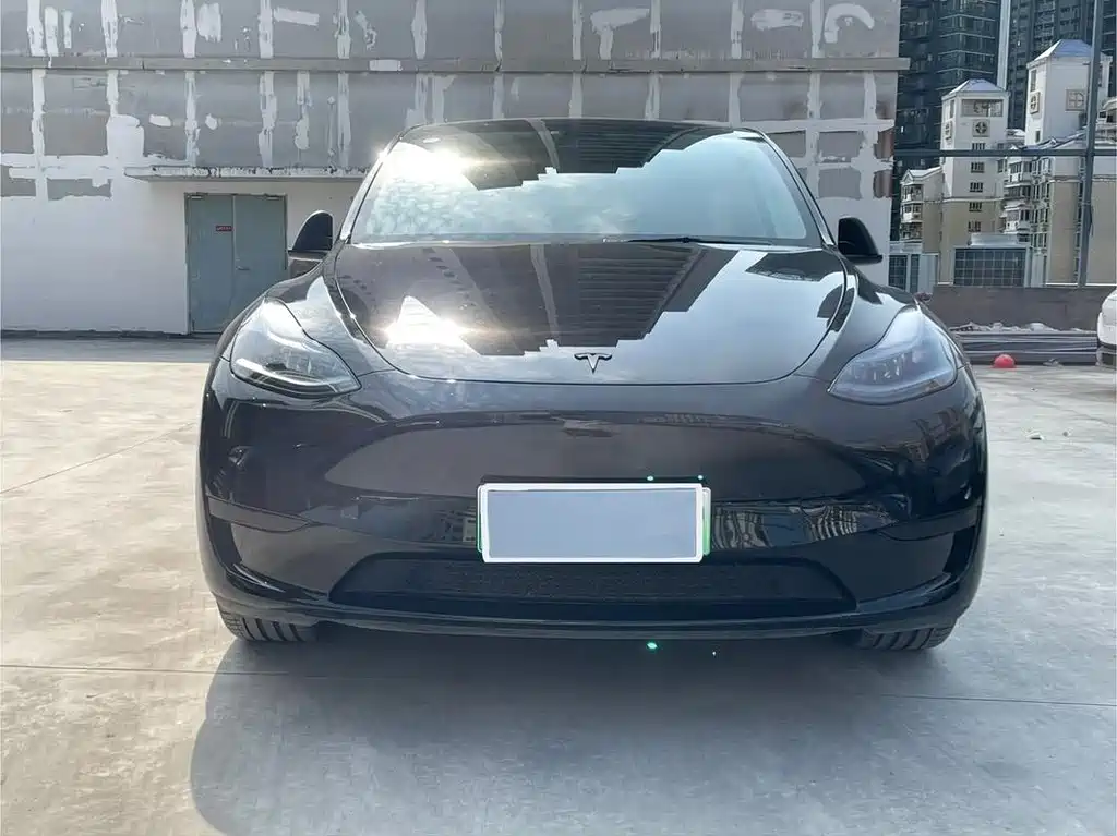 Tesla Model Y — фото 2