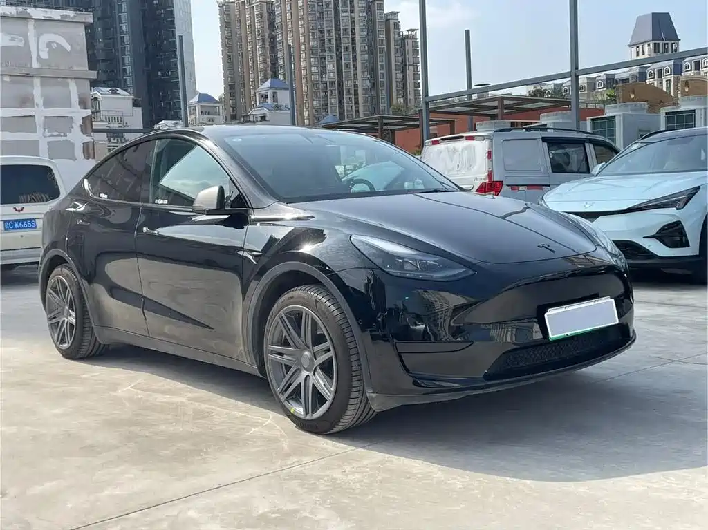 Tesla Model Y — фото 3
