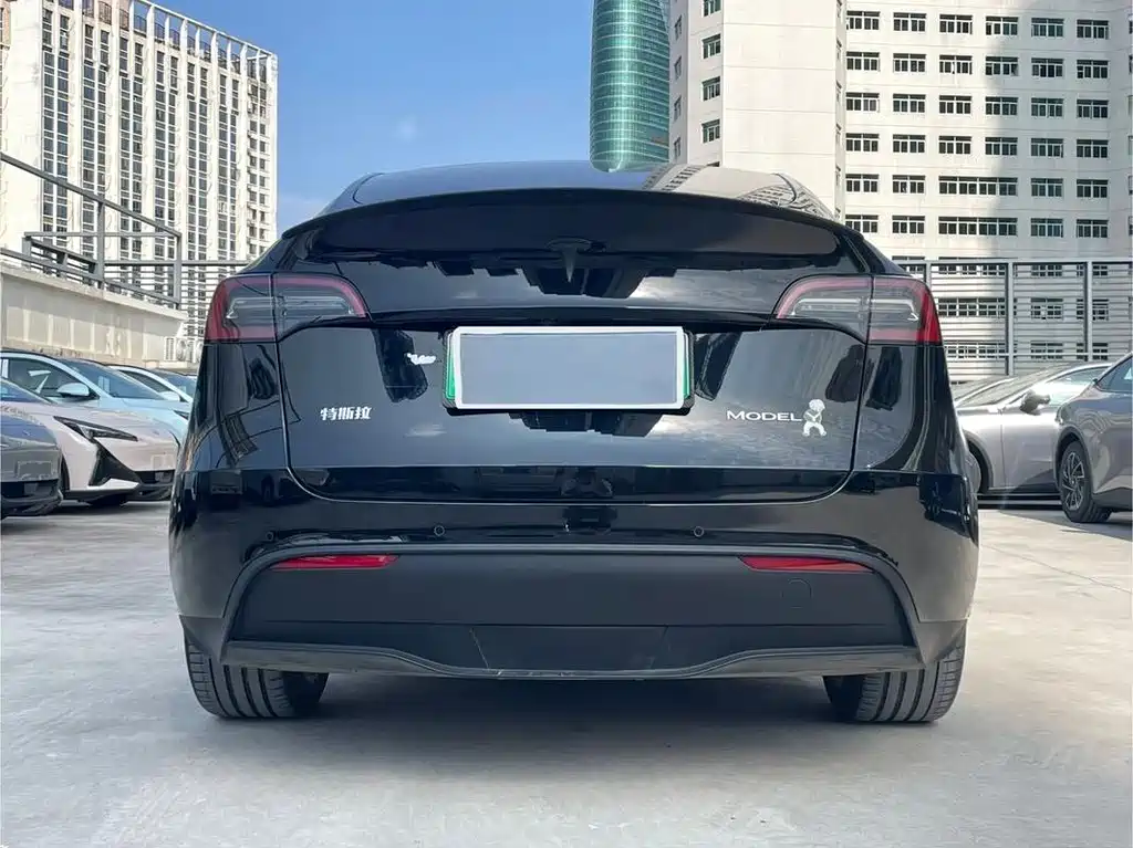 Tesla Model Y — фото 8