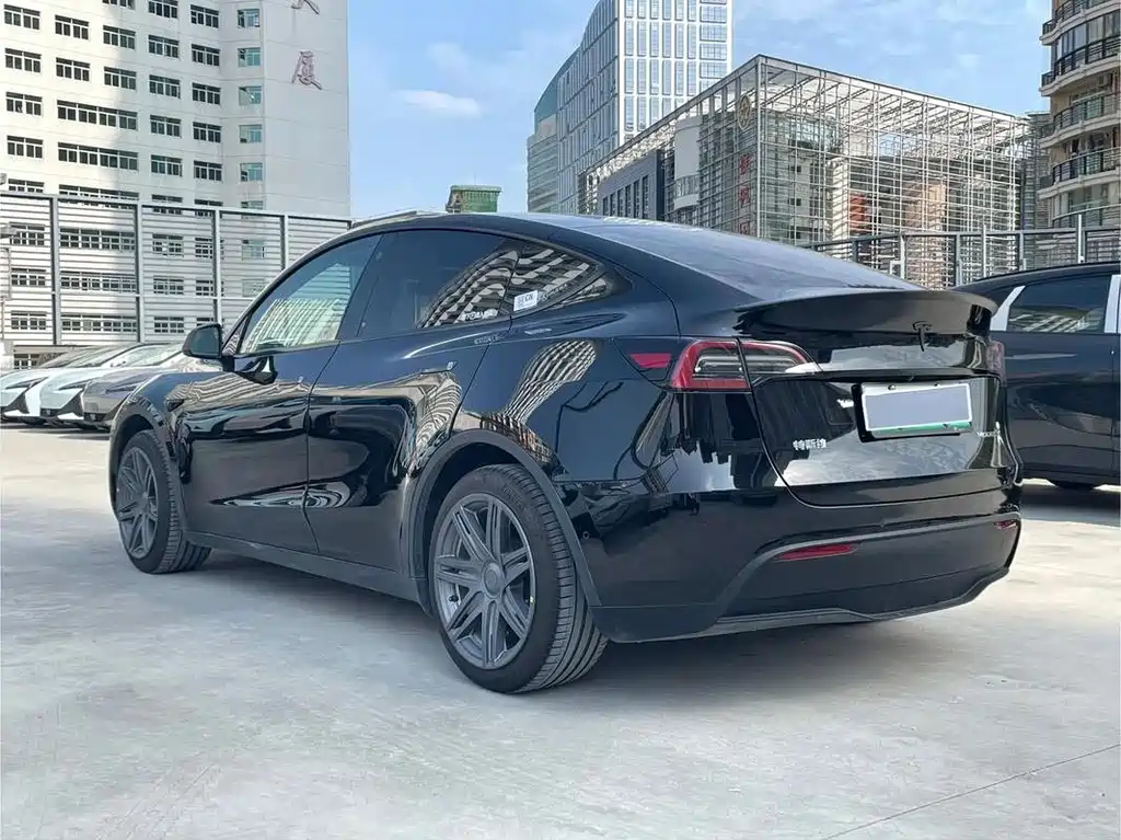 Tesla Model Y — фото 9