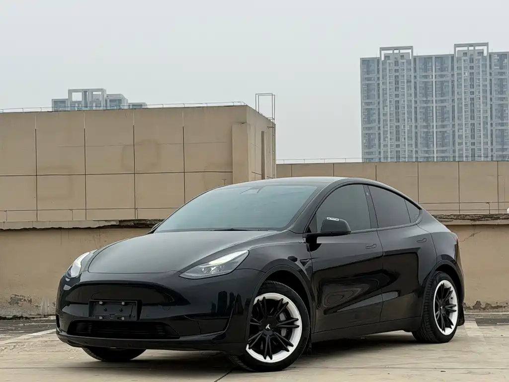 Tesla Model Y — фото 3