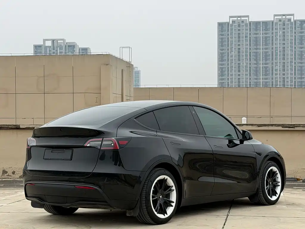 Tesla Model Y — фото 4