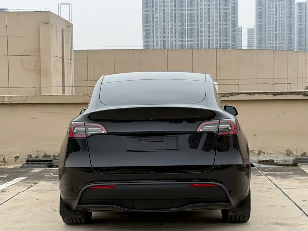 Tesla Model Y — фото 5