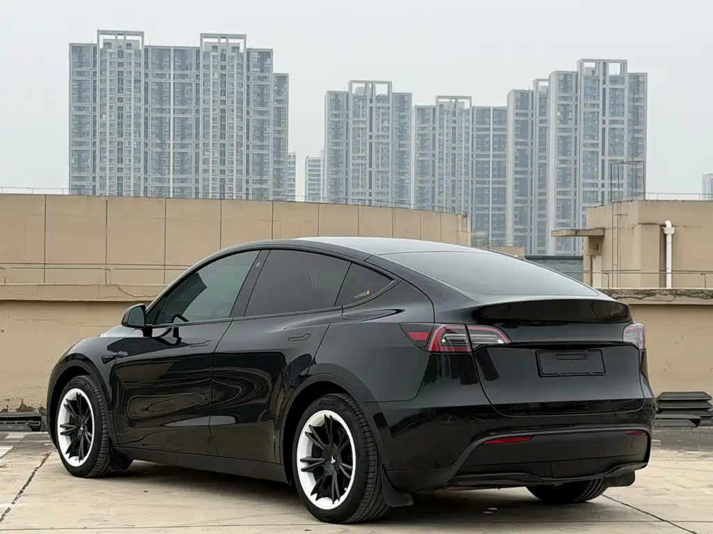 Tesla Model Y — фото 6