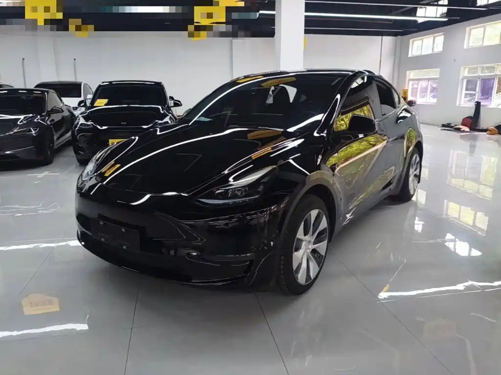 Tesla Model Y — фото 2