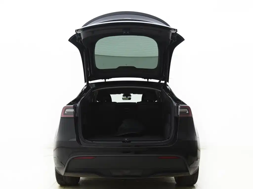 Tesla Model Y — фото 11
