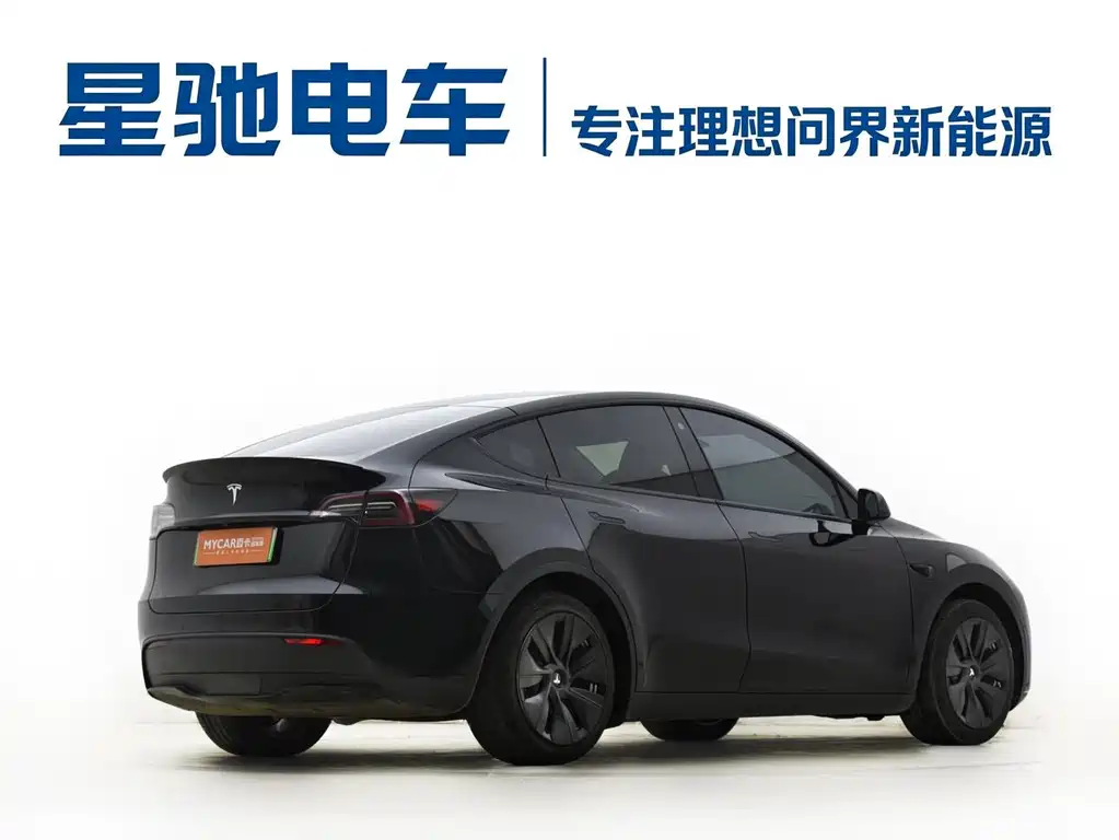 Tesla Model Y — фото 14