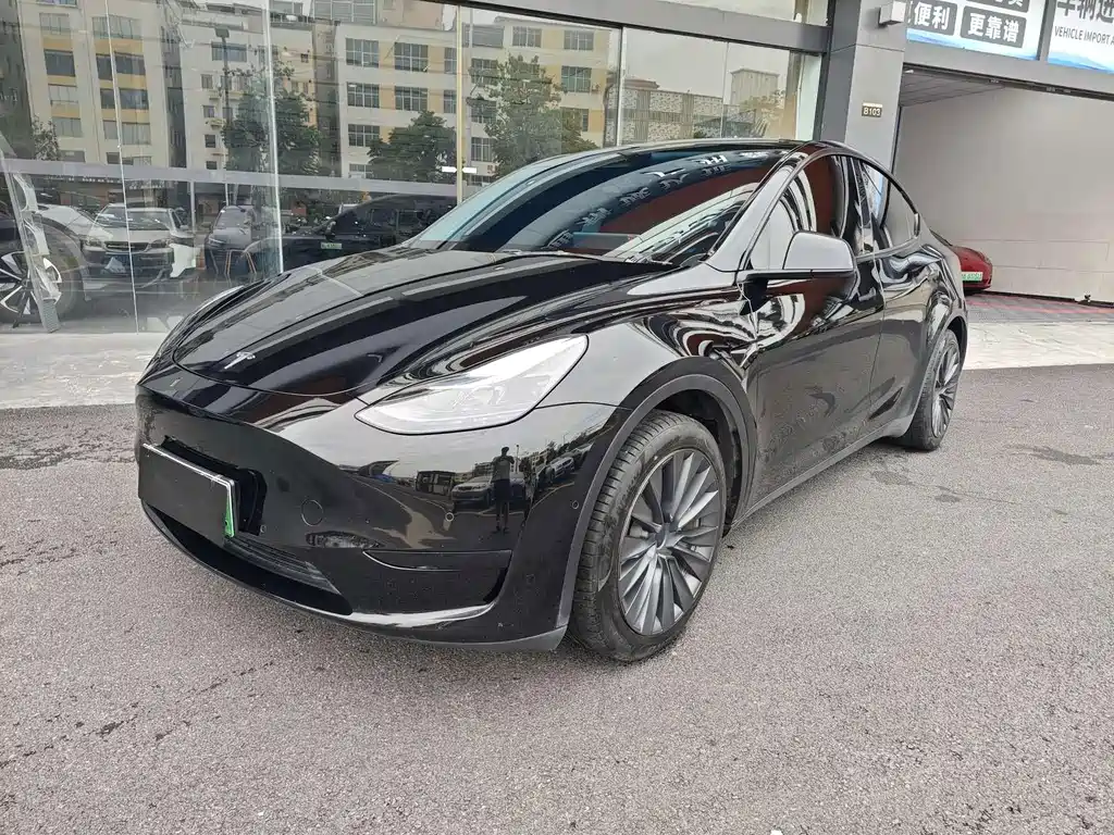Tesla Model Y — фото 2