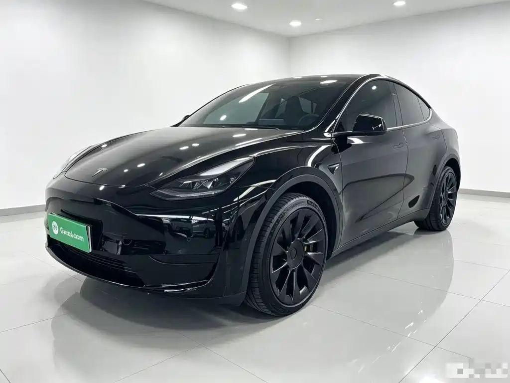 Tesla Model Y — фото 2