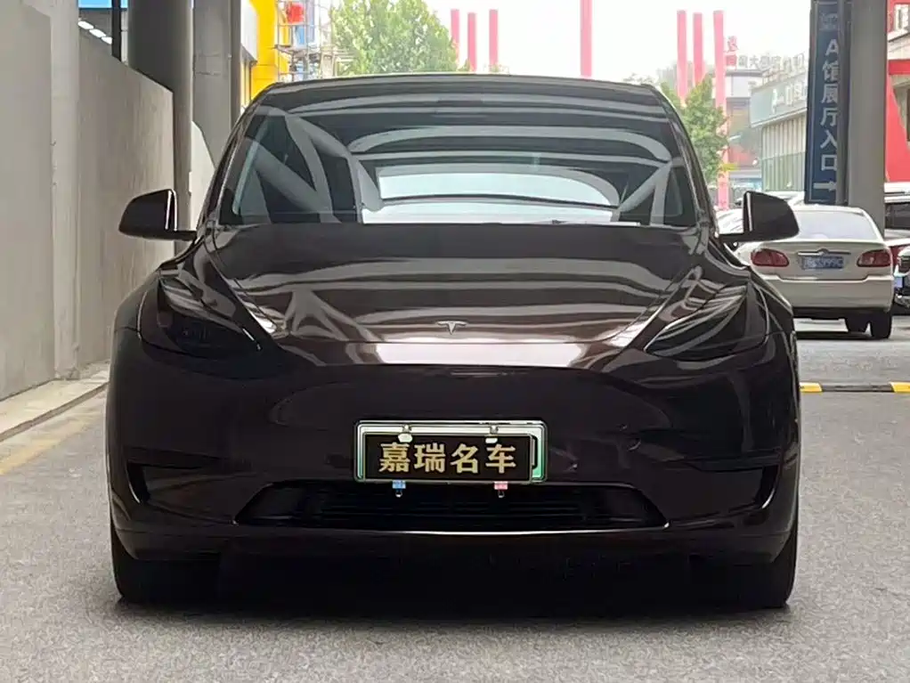 Tesla Model Y — фото 2