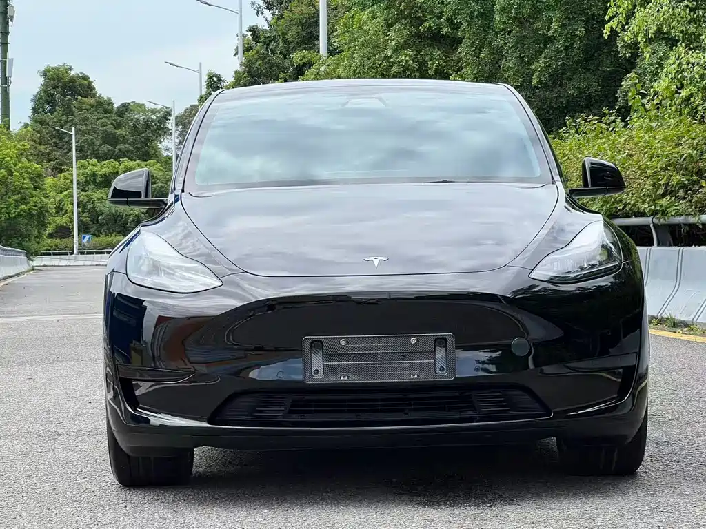 Tesla Model Y — фото 2
