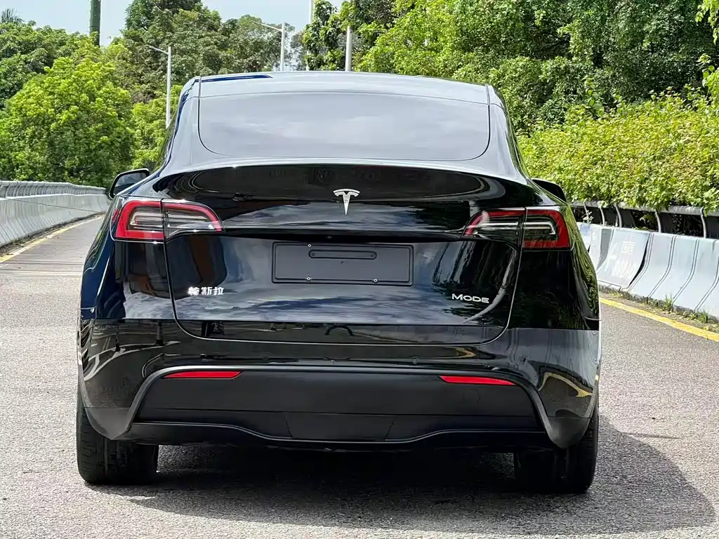 Tesla Model Y — фото 13