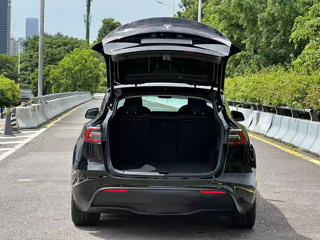 Tesla Model Y — фото 14