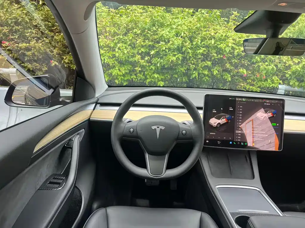 Tesla Model Y — фото 7