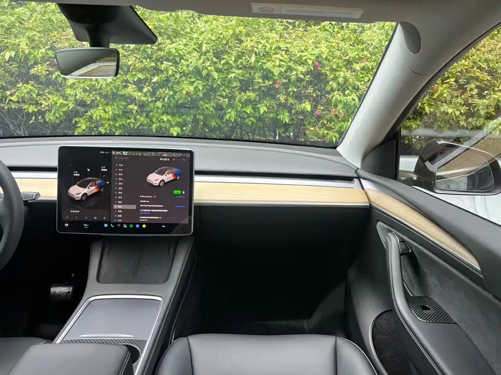 Tesla Model Y — фото 8