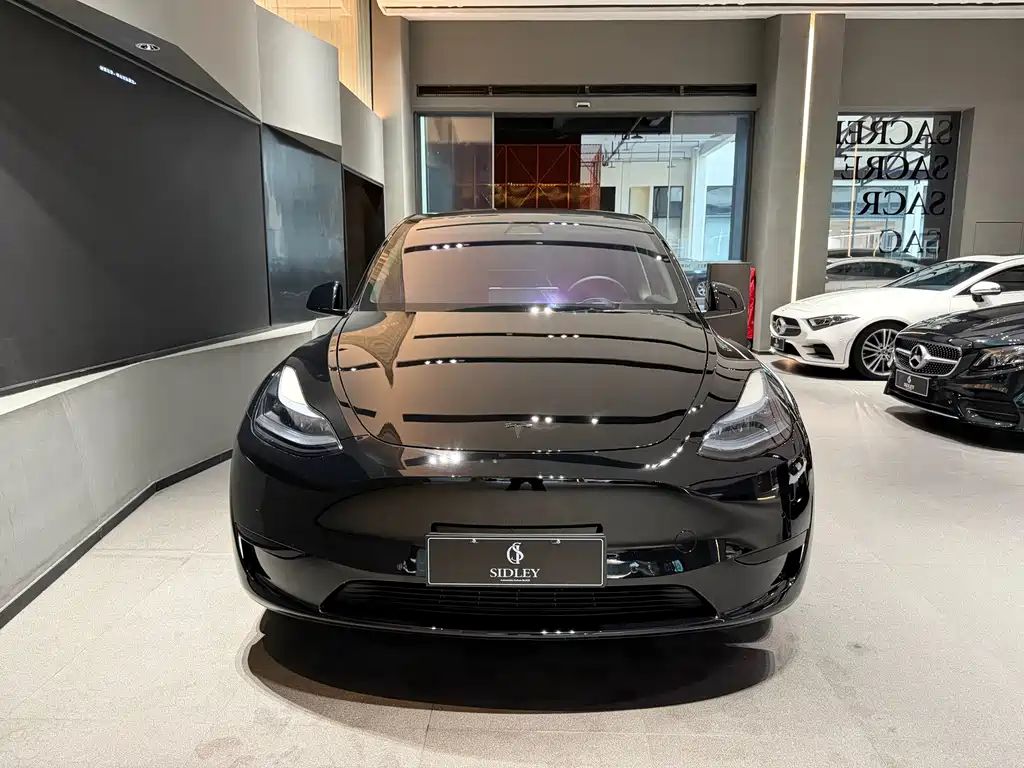 Tesla Model Y — фото 2