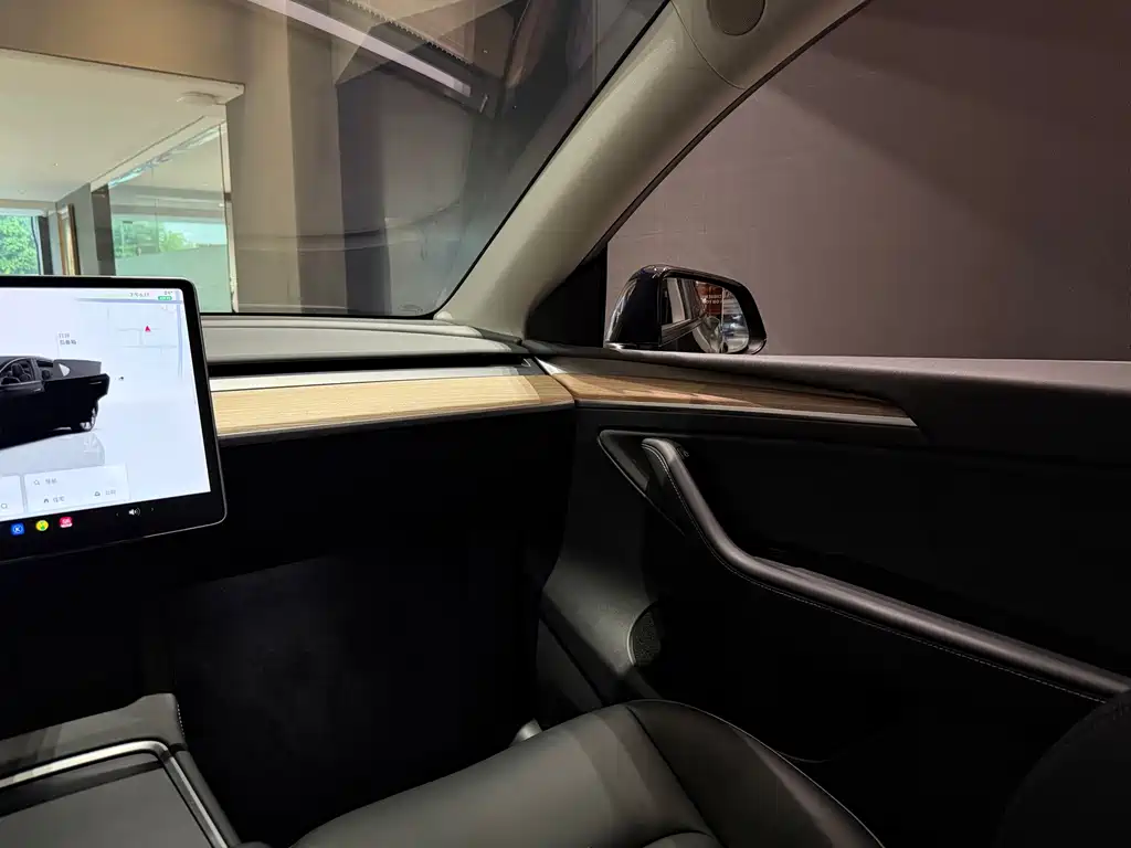 Tesla Model Y — фото 11