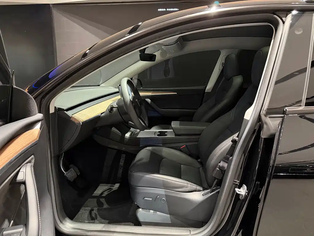 Tesla Model Y — фото 17