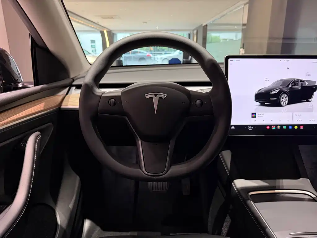 Tesla Model Y — фото 18