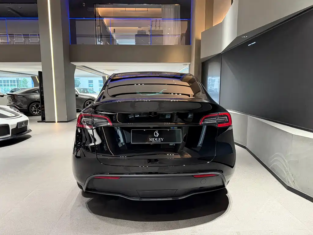 Tesla Model Y — фото 5