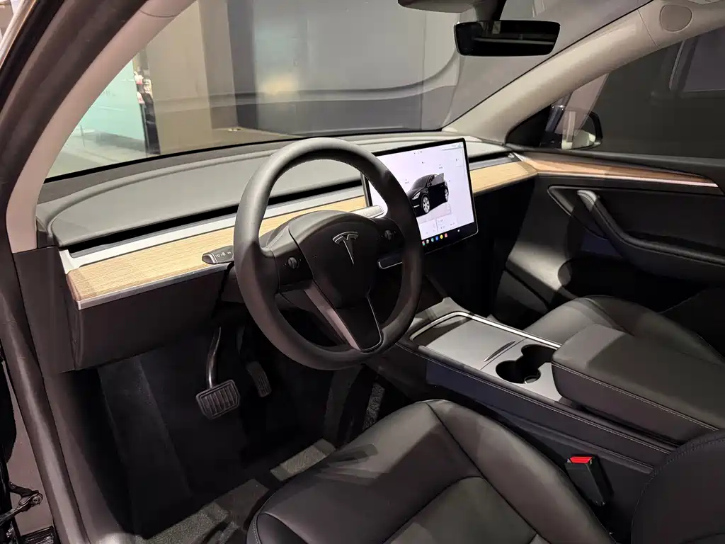 Tesla Model Y — фото 7