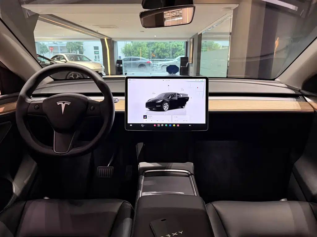Tesla Model Y — фото 10
