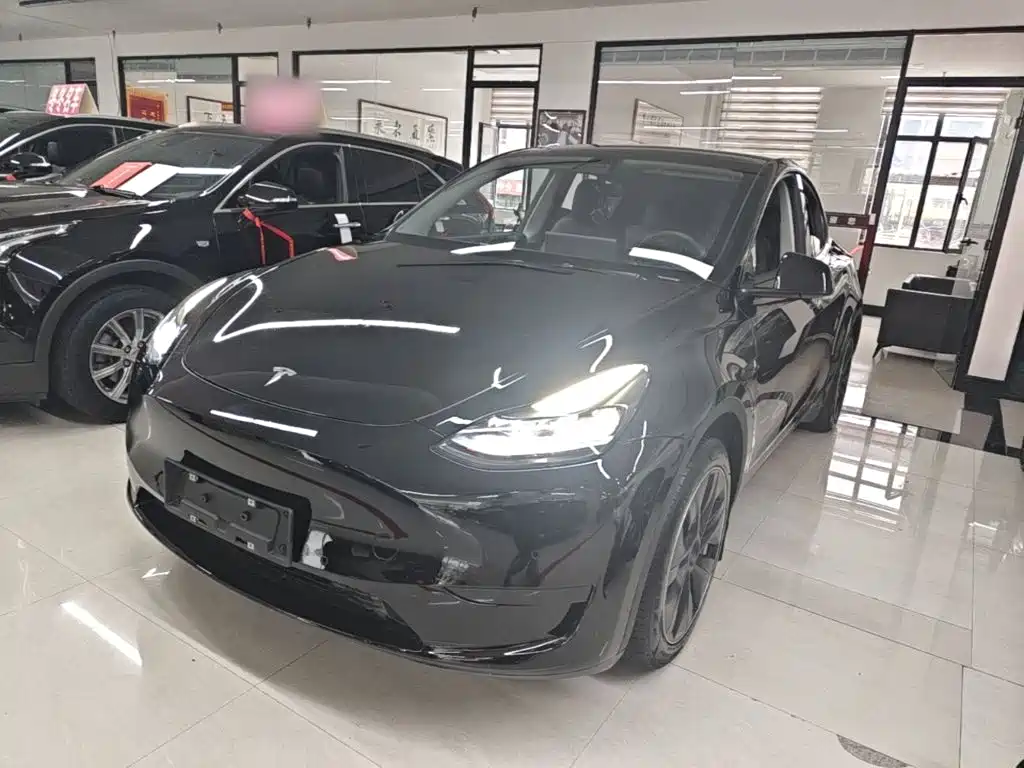 Tesla Model Y — фото 2
