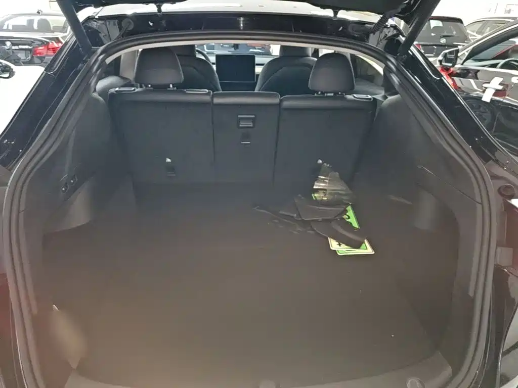 Tesla Model Y — фото 19