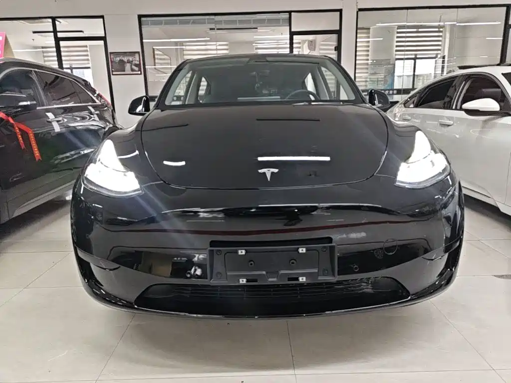 Tesla Model Y — фото 3