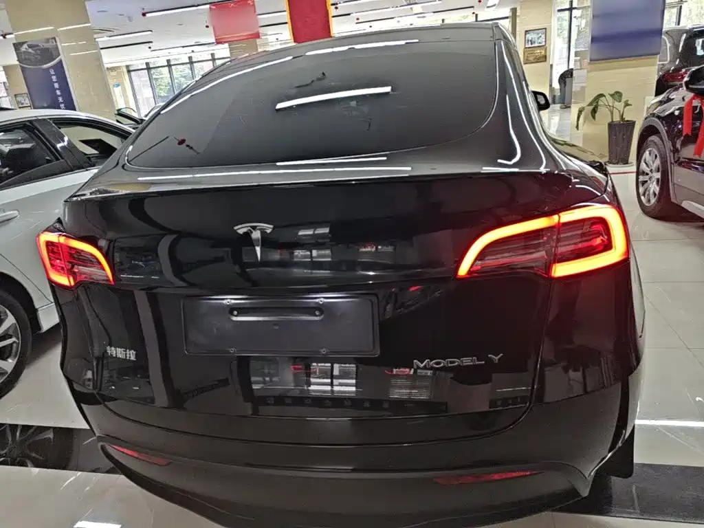 Tesla Model Y — фото 6
