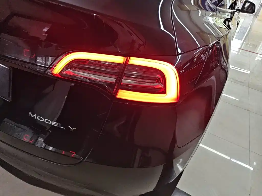 Tesla Model Y — фото 8