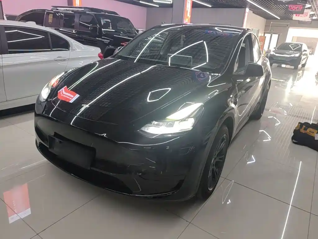 Tesla Model Y — фото 2
