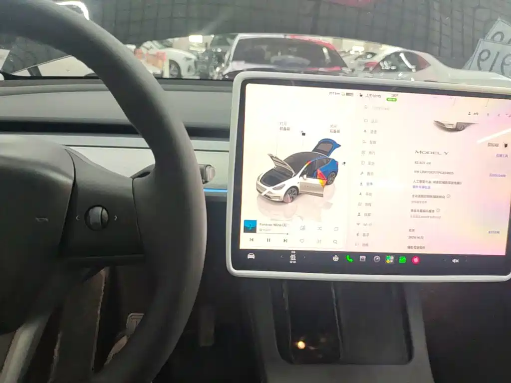 Tesla Model Y — фото 13