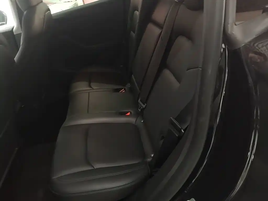 Tesla Model Y — фото 17