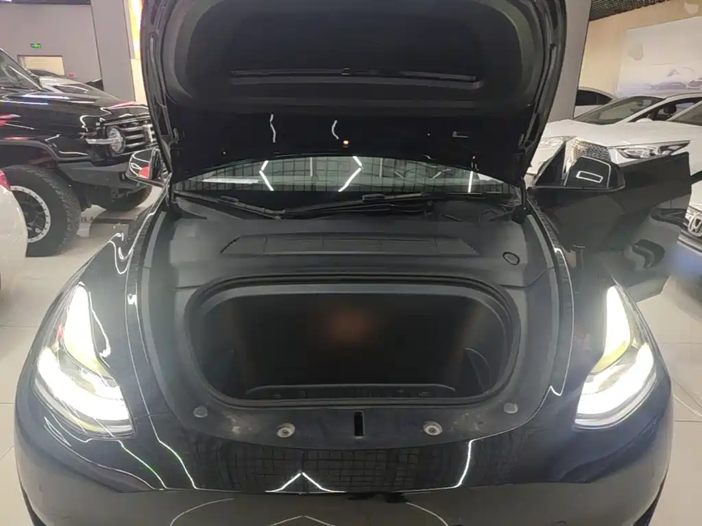 Tesla Model Y — фото 20