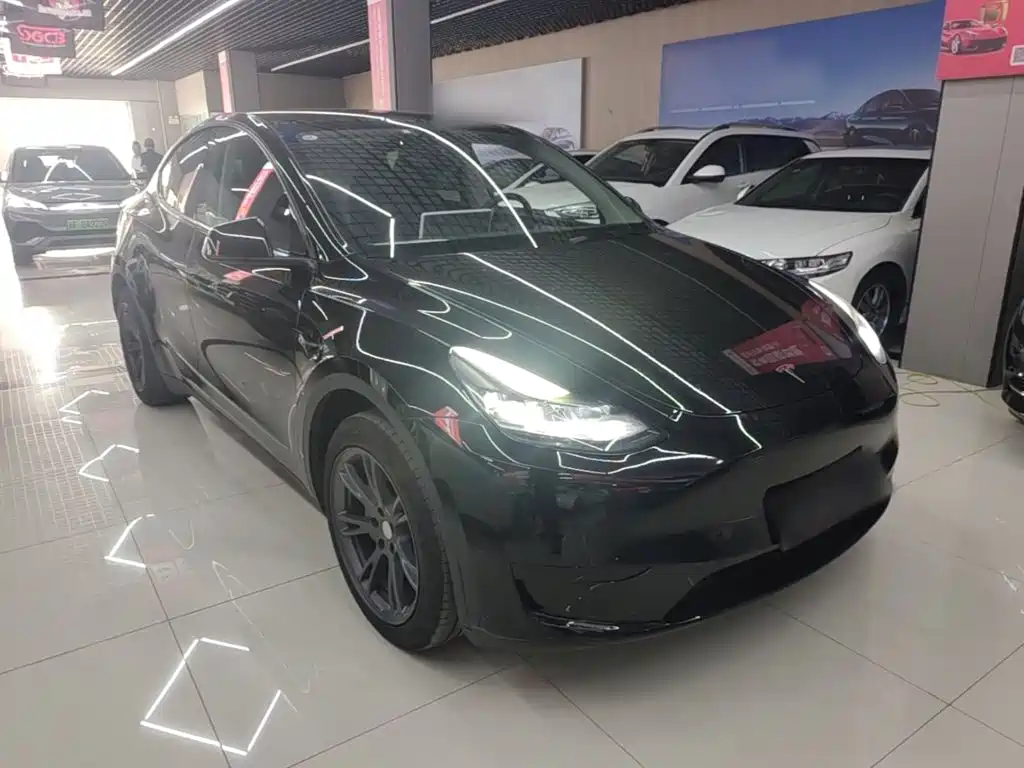 Tesla Model Y — фото 4