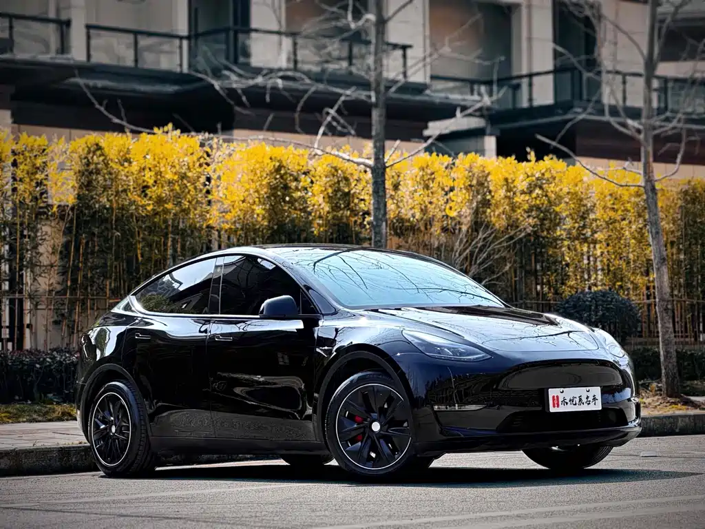 Tesla Model Y — фото 3