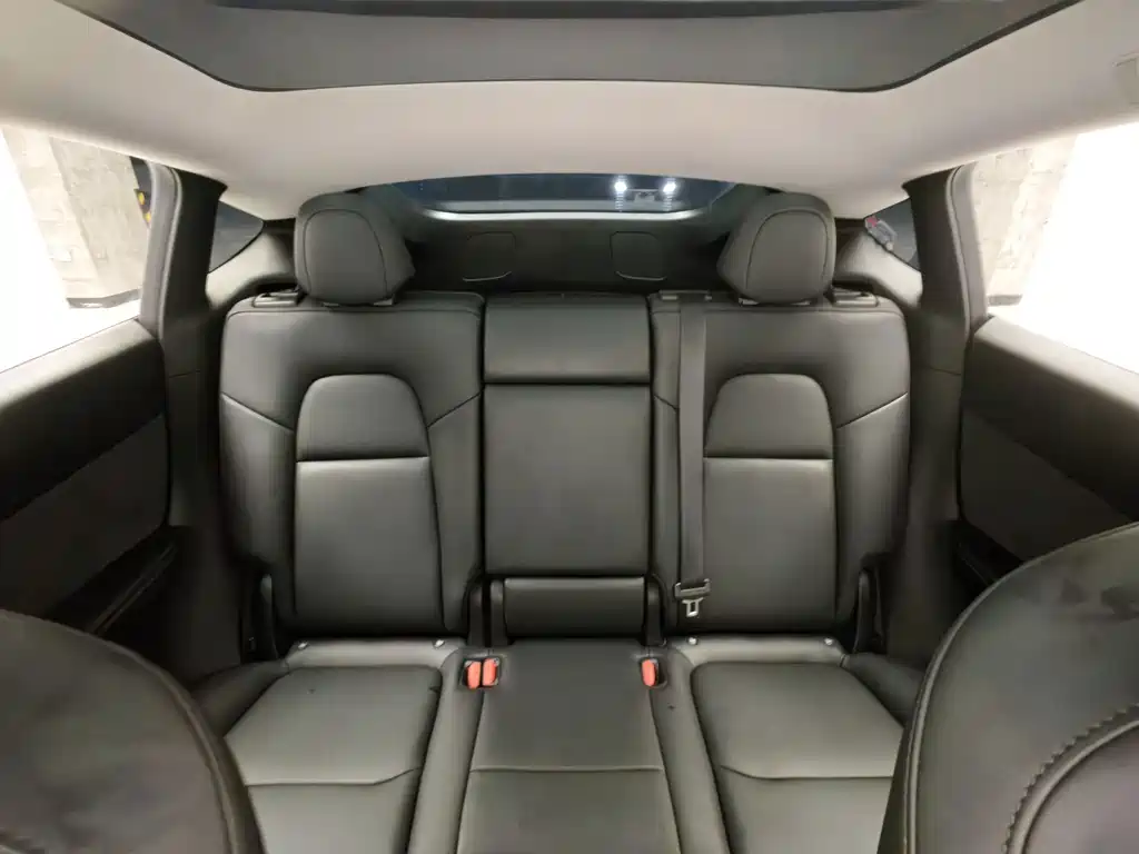 Tesla Model Y — фото 15