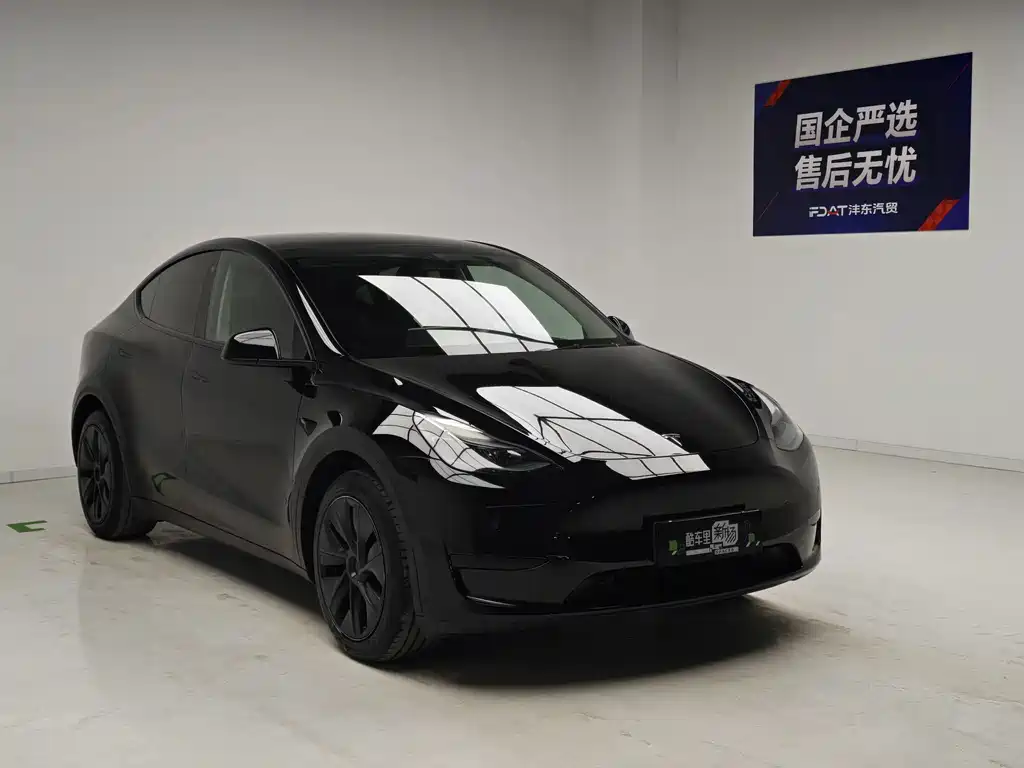 Tesla Model Y — фото 3