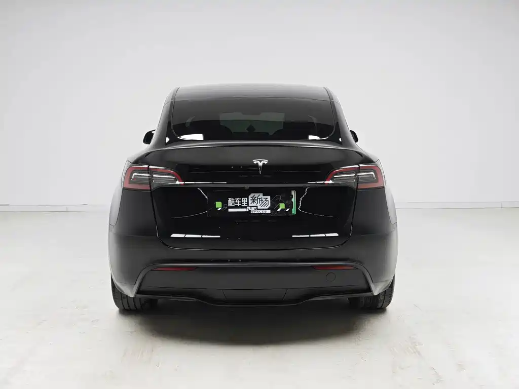 Tesla Model Y — фото 5