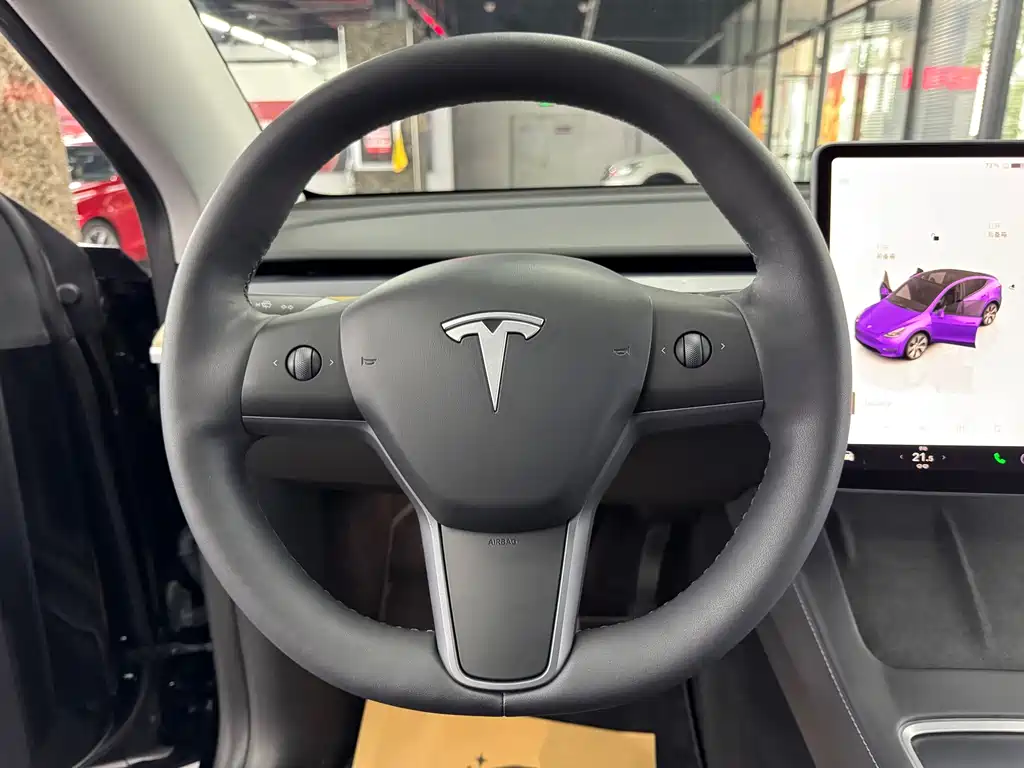 Tesla Model Y — фото 14