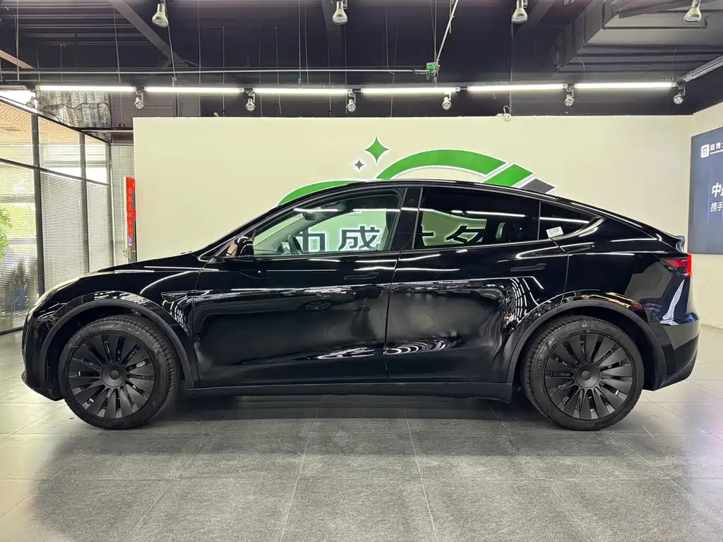 Tesla Model Y — фото 3