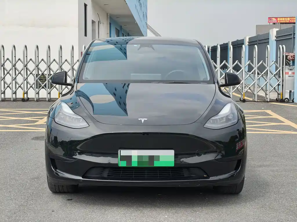 Tesla Model Y — фото 2
