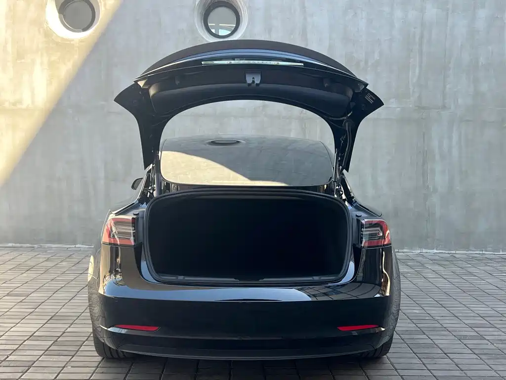 Tesla Model 3 — фото 18