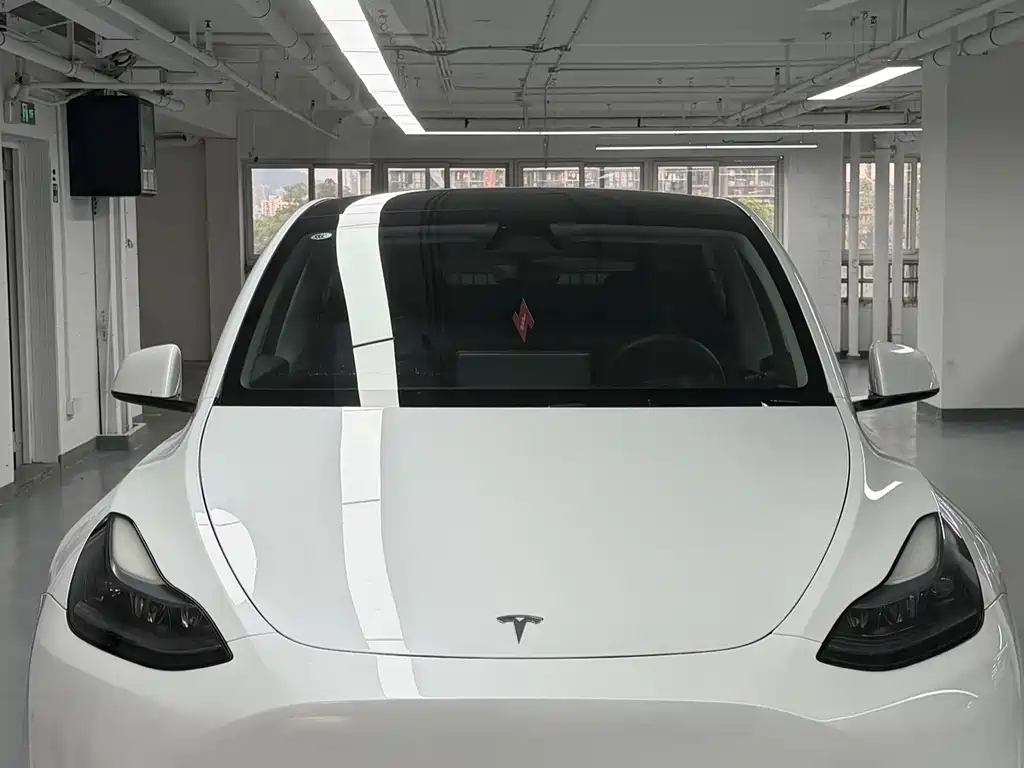 Tesla Model Y — фото 2