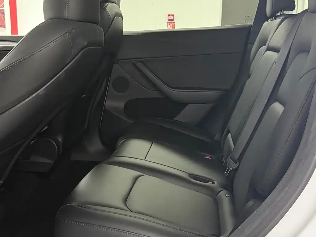Tesla Model Y — фото 11